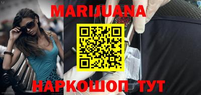 сатива Славгород