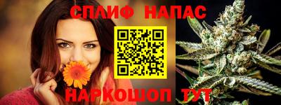 сатива Славгород