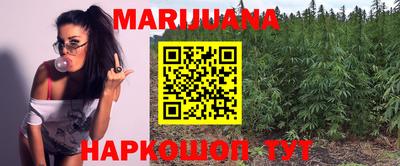сатива Славгород