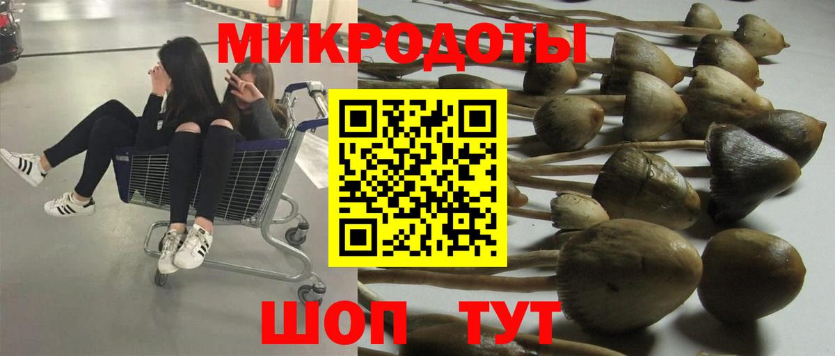 Артём  Галлюциногенные грибы мицелий  Вход с VPN  Галлюциногенные грибы GOLDEN TEACHER 